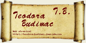 Teodora Budimac vizit kartica
